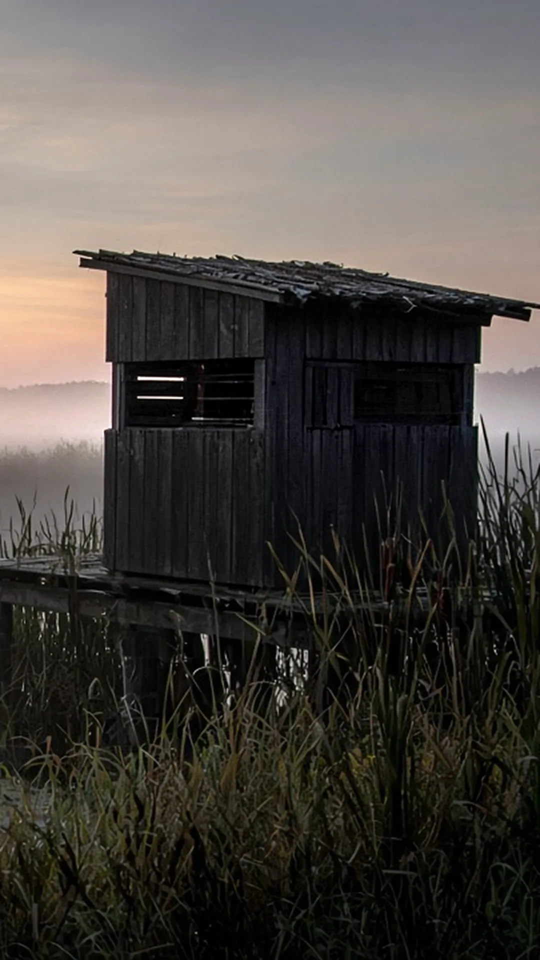 A calm wetland marsh at sunrise with cattails and mist